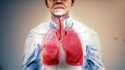 كيف يعمل كورونا وغيره من الفيروسات داخل أجسامنا؟