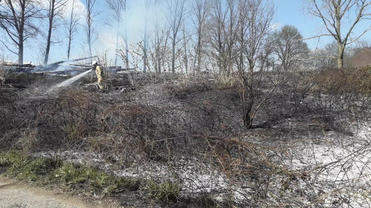 Walcourt: feu de broussailles rue Lennery (avril 2020)