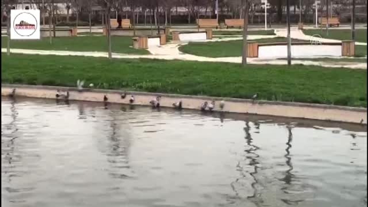 Elazığ Valiliğinden sokak hayvanlarına yem ve mama desteği