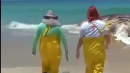 Dünya Tarihindeki En Büyük ve Tehlikeli Balık Karaya Vurdu! - Biggest and Dangerous Fish in World