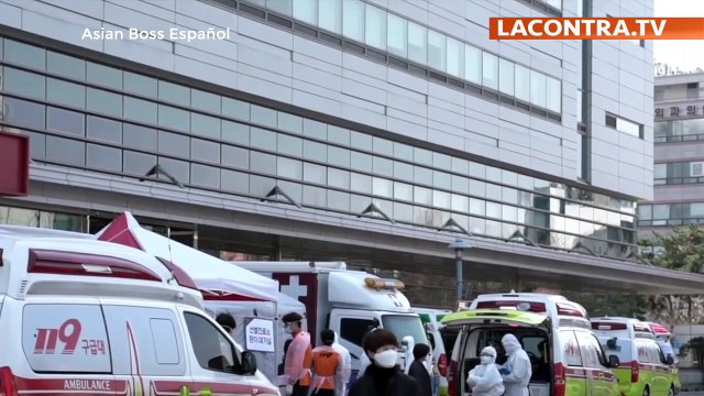 Alemania y Corea del Sur tratan a pacientes críticos de coronavirus con transfusiones de plasma 