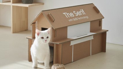 [기업] 삼성전자, TV 포장재 '에코 패키지' 도입 / YTN