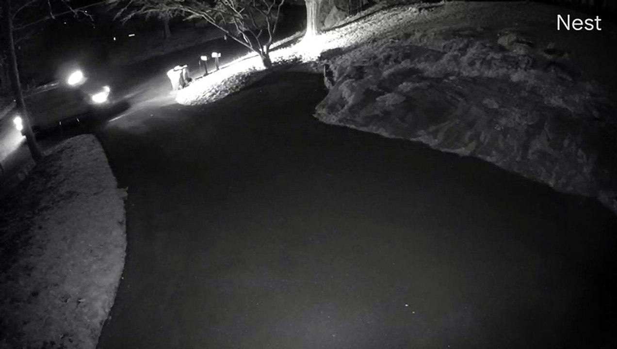 Delivery Driver Tosses Package Out Window