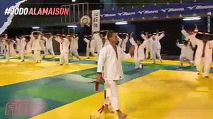 TRAVAIL SUR LA VIVACITE - JUDO A LA MAISON