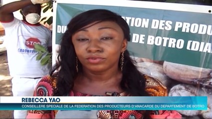 Coronavirus:  Riposte économique avec un appui de 120 millions de F CFA aux producteurs de Botro