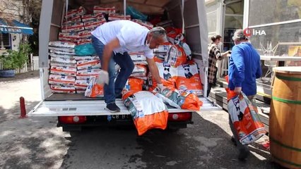 Bodrum'da sokak hayvanlarına 11 bin kilo mama dağıtıldı