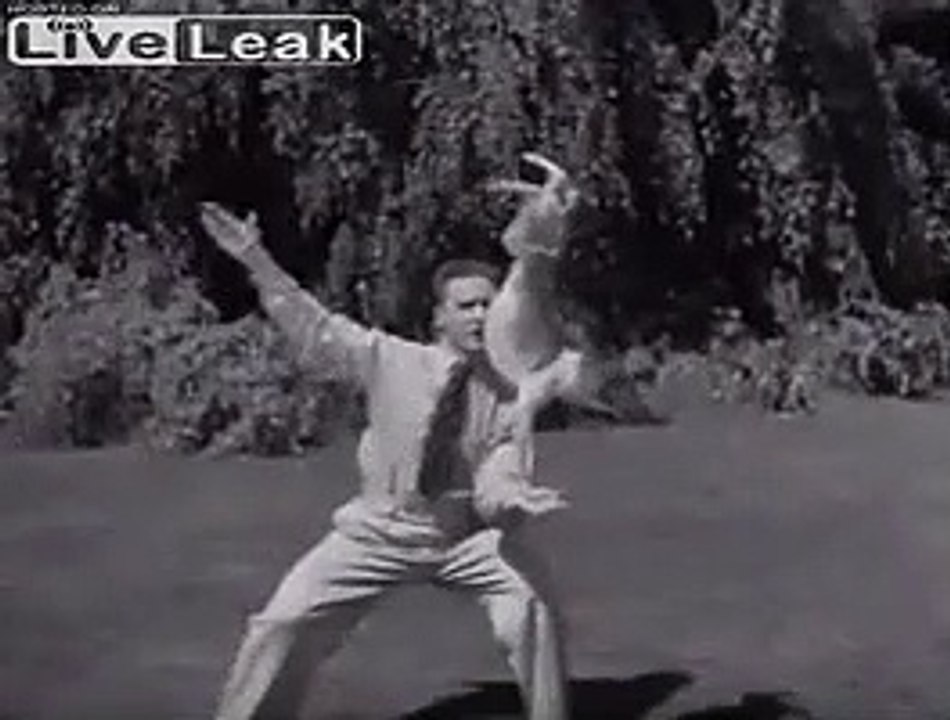 Apprenez à jongler avec un chien !