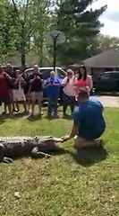 Il utilise son alligator pour révéler si son bébé est un garçon ou une fille