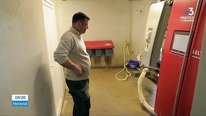 Coronavirus : la filière laitière est à la peine