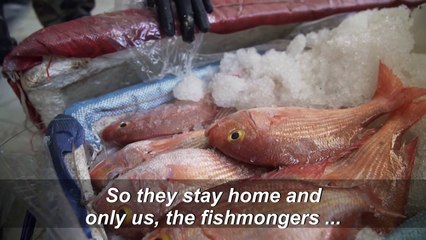 Coronavirus: a fish seller's struggle for survival in Senegal