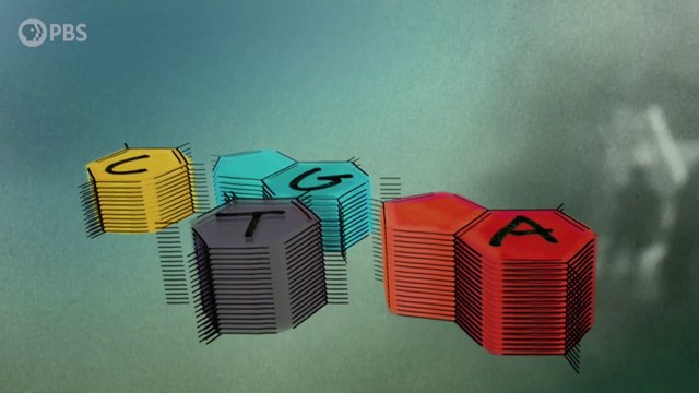 IR Interview: Dr. Siddhartha Mukherjee For The Gene - Part I [PBS]