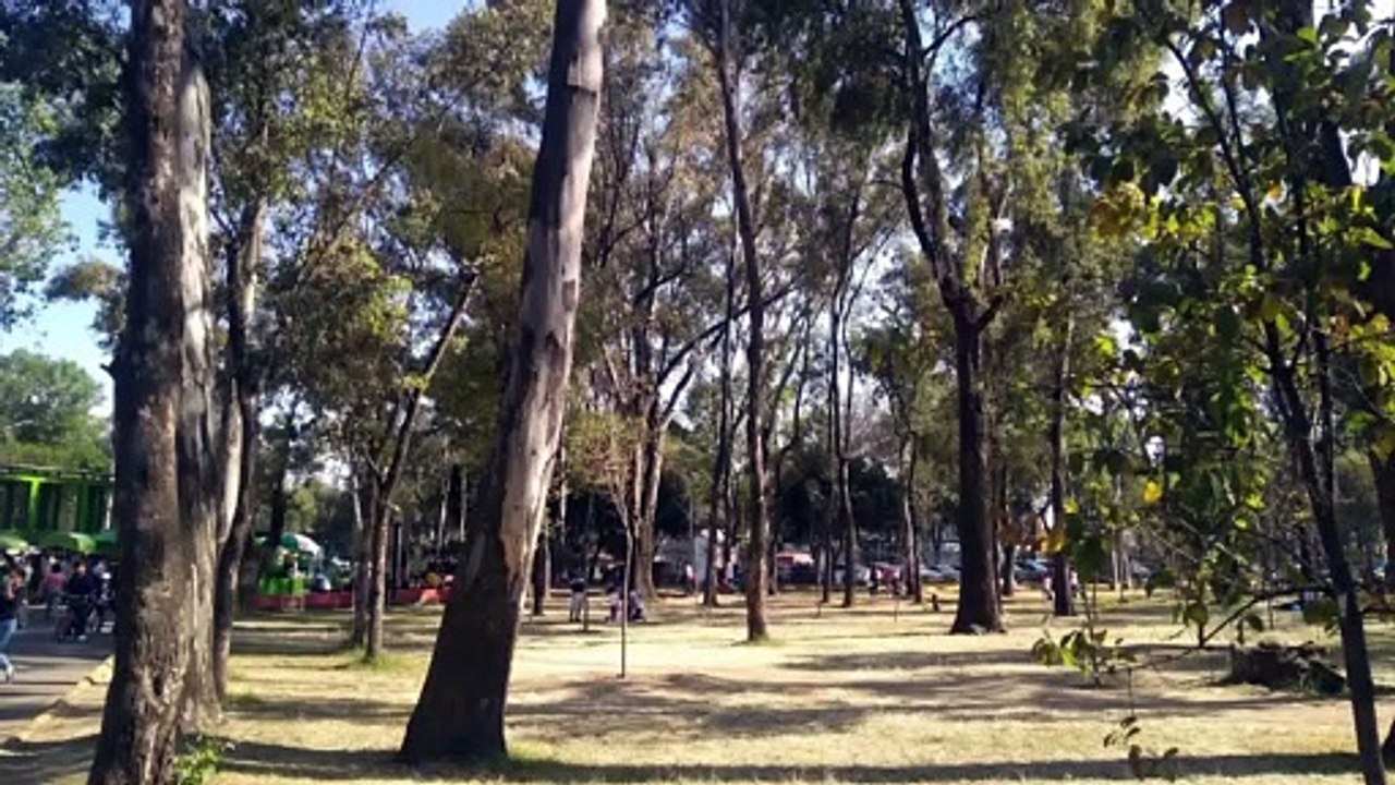 Visitando Parque Tezozómoc Azcapotzalco (#V32)