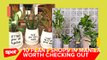 10 Plant Shops Every Plantita Should Check Out
