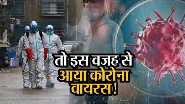 Corona virus alert तो इस वजह से आया कोरोना वायरस, सामने आया ये कारण