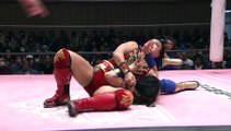 Meiko Satomura vs Reika Saiki TJPW 1.4.19