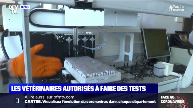 Coronavirus: les vétérinaires autorisés à analyser des tests de dépistage