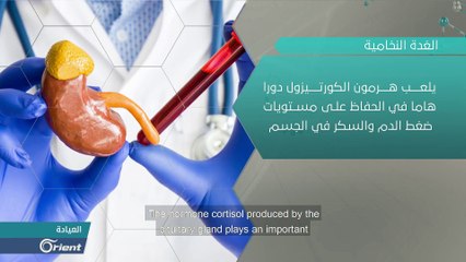 ماذا تعرف عن الغدة النخامية؟ - العيادة