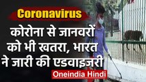 Coronavirus से इंसान ही नहीं जानवरों को भी खतरा, India ने जारी की Advisory | वनइंडिया हिंदी