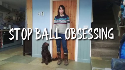 STOP YOUR DOG BALL OBSESSING