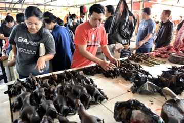 Mağdur ülke ve vatandaşlar, koronavirüsün çıkış noktası Çin'e tazminat davası açabilecek