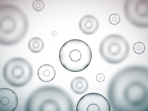 ¿Qué son las células madre?