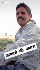 Comedy video rajsthani vidio