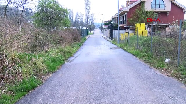 Otomobiliyle gelip, sokak köpeklerine ateş açan saldırgan aranıyor