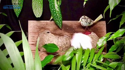 France Bleu Béarn envoie des messages positifs à ses auditeurs