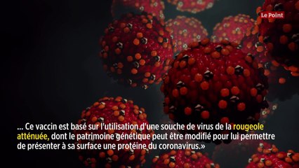 « Les premiers résultats d'efficacité d'un vaccin contre le coronavirus pour fin mai »