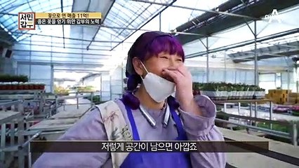 꽃 구매 가격만 730만 원...? 꽃 갑부 나금 씨의 매출 비율은?