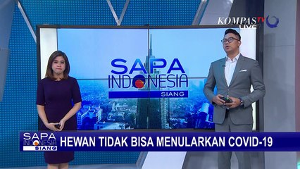 Ini Perbedaan Virus Corona pada Hewan dan Manusia, Tidak Bisa Saling Menularkan!