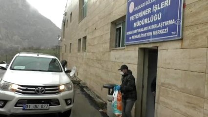 Hakkari'de sokak hayvanları için barınaklar dezenkefte edilerek mama bırakıldı