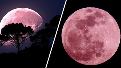 ಸೂಪರ್ ಪಿಂಕ್ ಮೂನ್ ವಿಶೇಷತೆ ಏನು? ಯಾರಿಗೆ ಏನು ಕಾದಿದೆ?| Super Pink Moon | Oneindia kannada