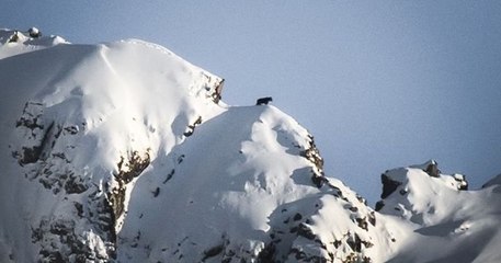 Dans les Pyrénées, un photographe immortalise la promenade d'un ours sur une crête enneigée