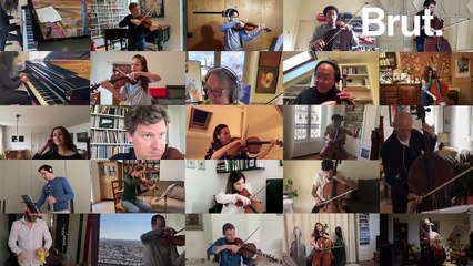 "Le Carnaval des animaux" : un concert virtuel des 4 coins du monde en soutien aux soignants