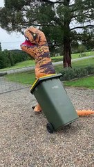 Taking out the Trash in a T-Rex Costume