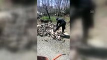 Evinden çıkamayan yaşlı adamın odunlarını polis kesti