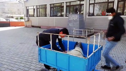 Koyununu ‘Biz Bize Yeteriz’ Kampanyasına Bağışladı