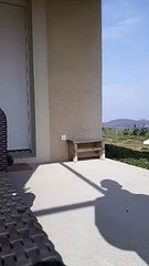 LE CHALLENGE JONGLES DE CONFINEMENT DE MATHIEU REYNE