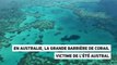 En Australie, la Grande Barrière de corail victime de l’été austral