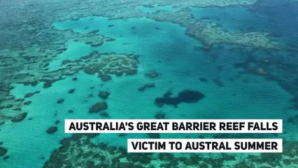Australia's Great Barrier Reef falls victim to austral summer