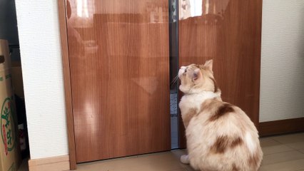 2020#30 When you want to go out, this!