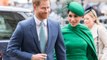 Prince Harry and Meghan Markle Revealed the Name of Their Non-Profit