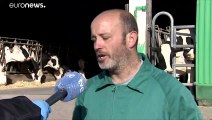CORONAVIRUS | El sector lechero trabaja a pleno rendimiento durante la cuarentena