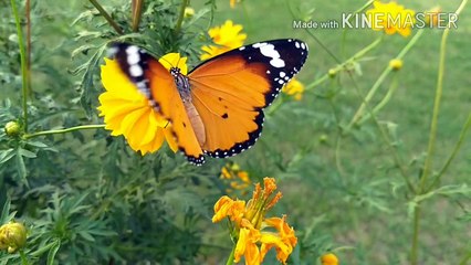 #motivation video,#prernadayi video,#hindi motivation,#inspiring video,#inspiration video,