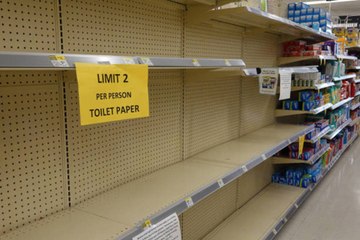 We May Have Discovered the Real Reason Behind the Toilet Paper Shortage
