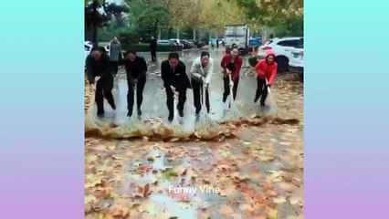 Oddly Satisfying Video for Stress Relief & Watch Before Sleep ▶80