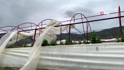 Çiftçilere hafta sonu felaketi yaşatan fırtınanın bilançosu belli oldu