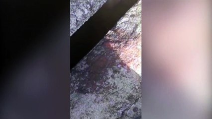 Água parada em bueiro gera preocupação no Tropical