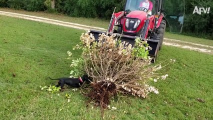 She's Going on a TIPPING TRIP!   Funny Fails  AFV 2020